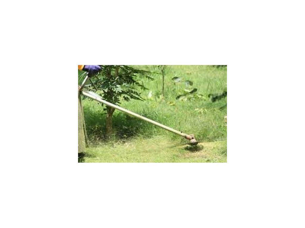 Provvedimenti viabili