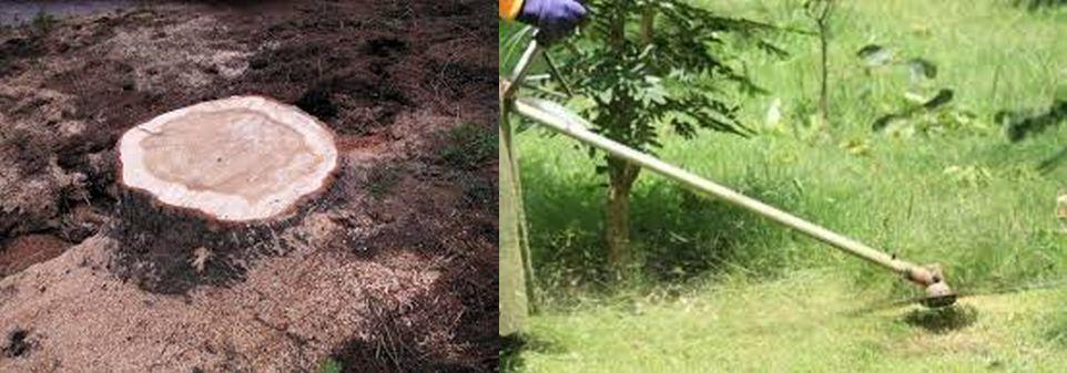 Provvedimenti viabili