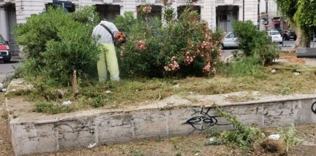 Divieti di sosta per attività di scerbatura a partire da lunedì 6