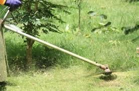 Provvedimenti viabili