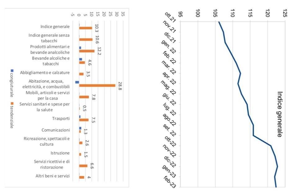 Rilevazione territoriale dei prezzi al consumo per il mese di febbraio 2023
