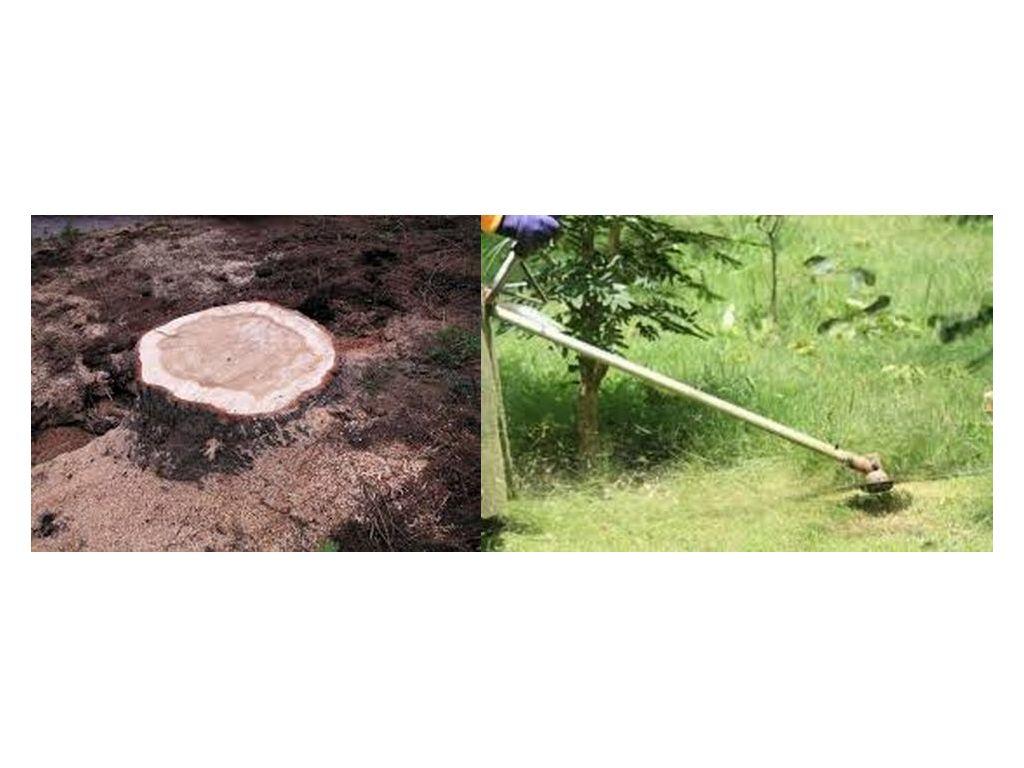 Provvedimenti viabili